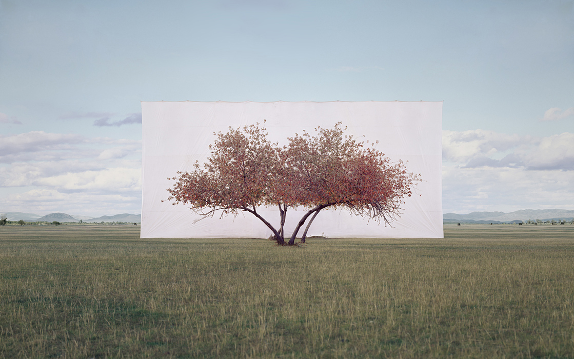 large-myoung_ho_lee-tree_2-2011